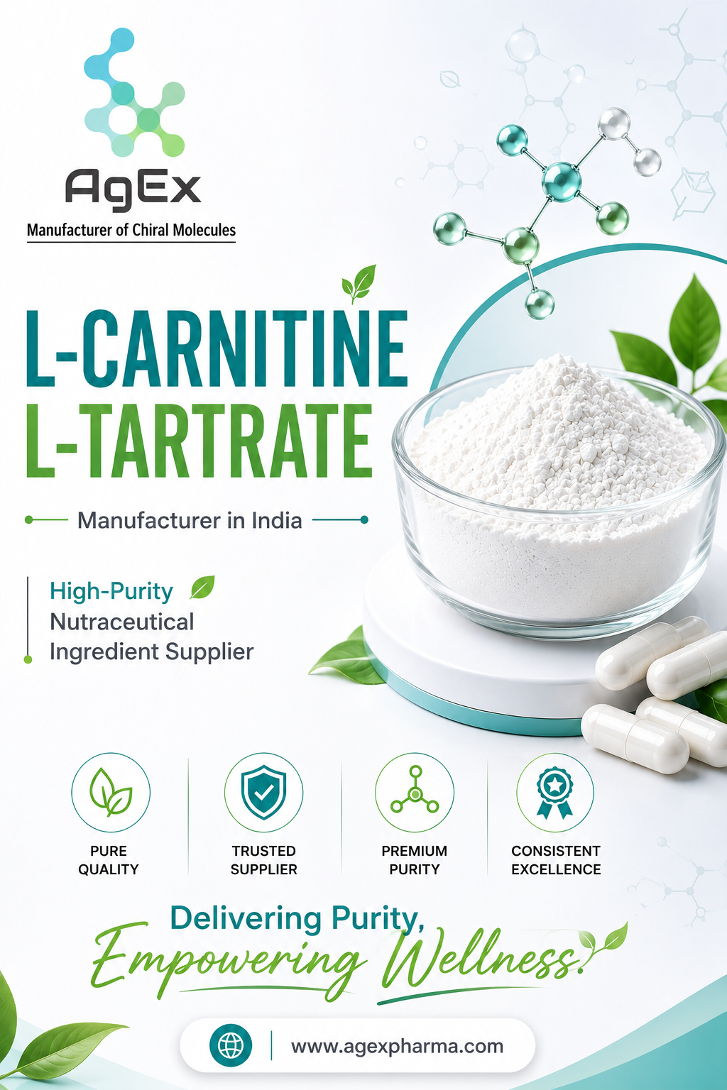 Premium Supply Solutions by L-Carnitine L-Tartrate manufacturer in India
