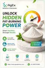 L-Carnitine-L-Tartrate-Unlock-Hidden-Fat-Burning-Power