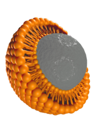 liposomal-home