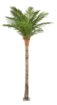 Shweta Enterprise – Artificial Plants & Grass