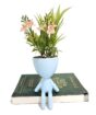 Shweta Enterprise – Artificial Plants & Grass