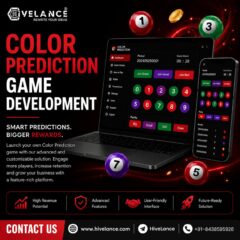 Hivelance-Color-Prediction-Game-Development