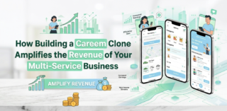 How-Building-a-Careem-Clone-Amplifies-the-Revenue-of-Your-Multi-Service-Business