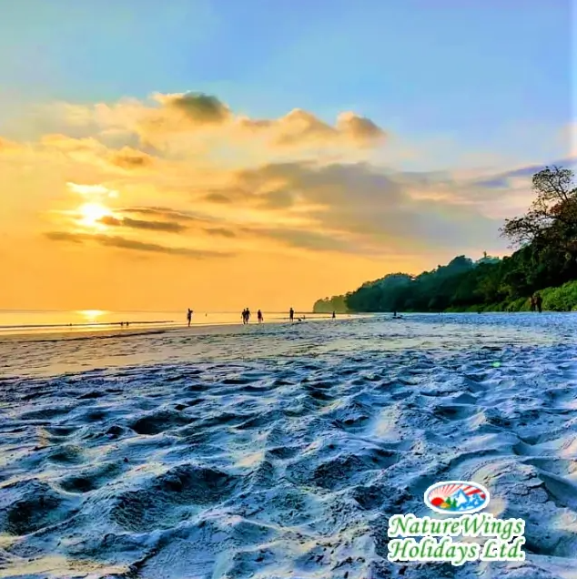 Complete Itinerary for Andaman Tour Packages from Kolkata