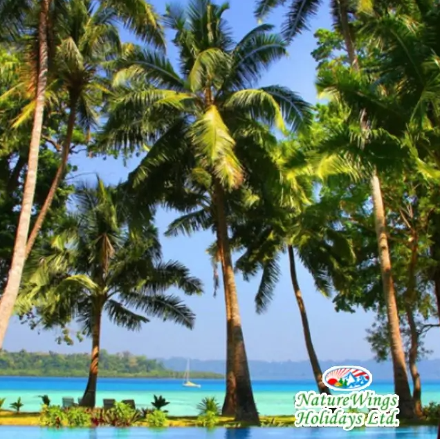 Complete Itinerary for Andaman Tour Packages from Kolkata
