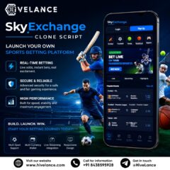 Home 7 skyexchange-clone-script-24-07-2026