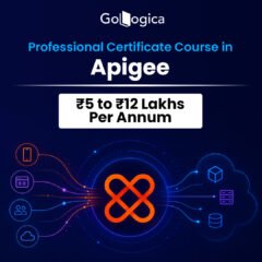 Apigee-Training-copy-20