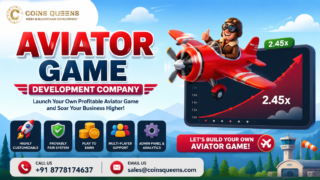 Aviator-game-Development-2