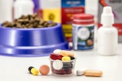 wholesale veterinary supplies