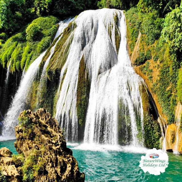 North East Tour Packages – Explore Mountains, Valleys & Waterfalls