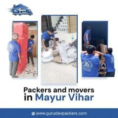 Packers-and-movers-in-Mayur-Vihar