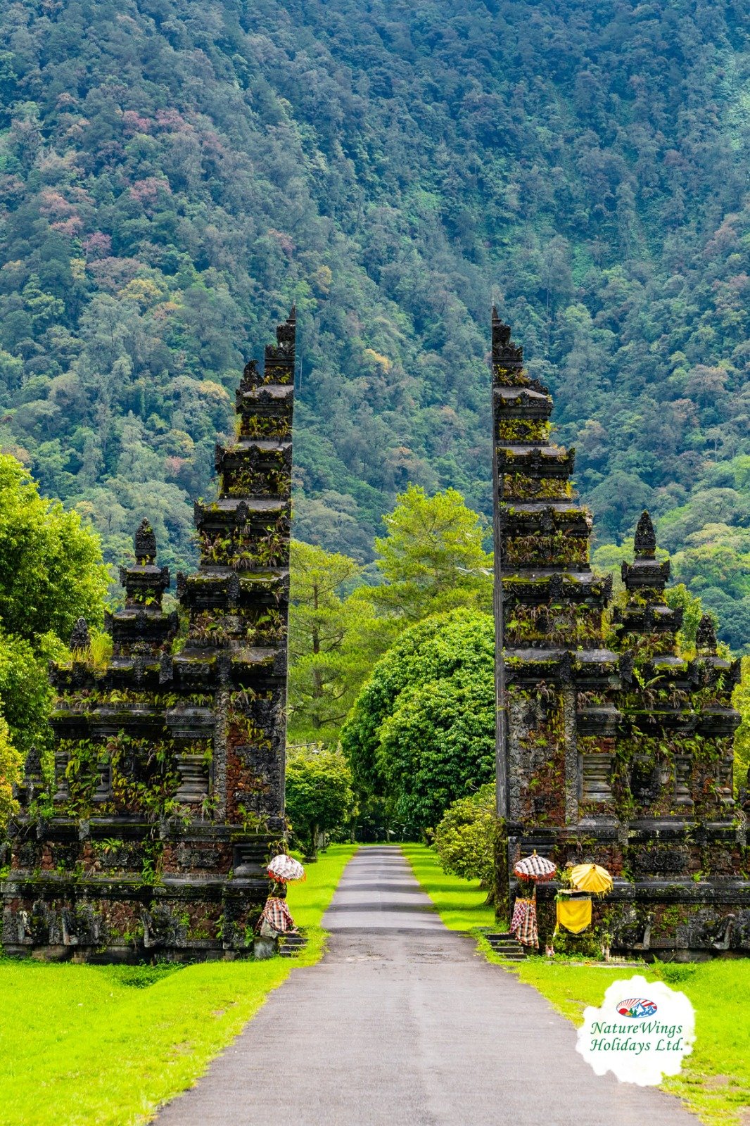 Bali Packages from Kolkata to Explore Beaches and Temples