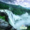 Kerala Package Tour for a Relaxing Getaway