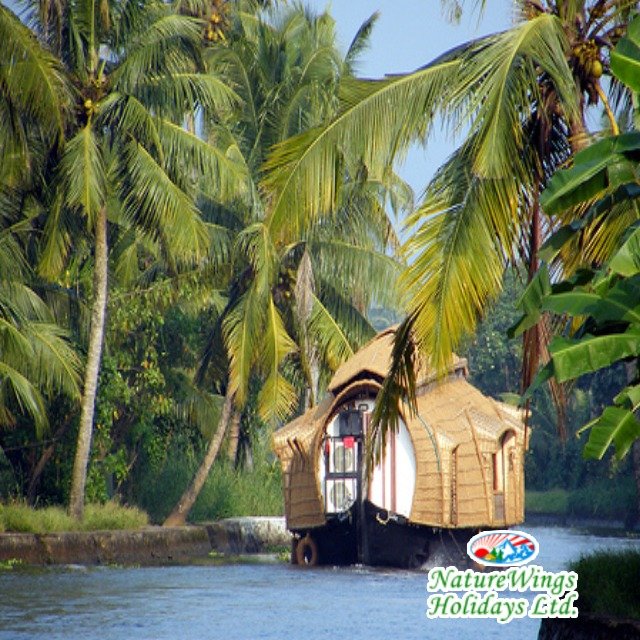 Kerala Package Tour for a Relaxing Getaway