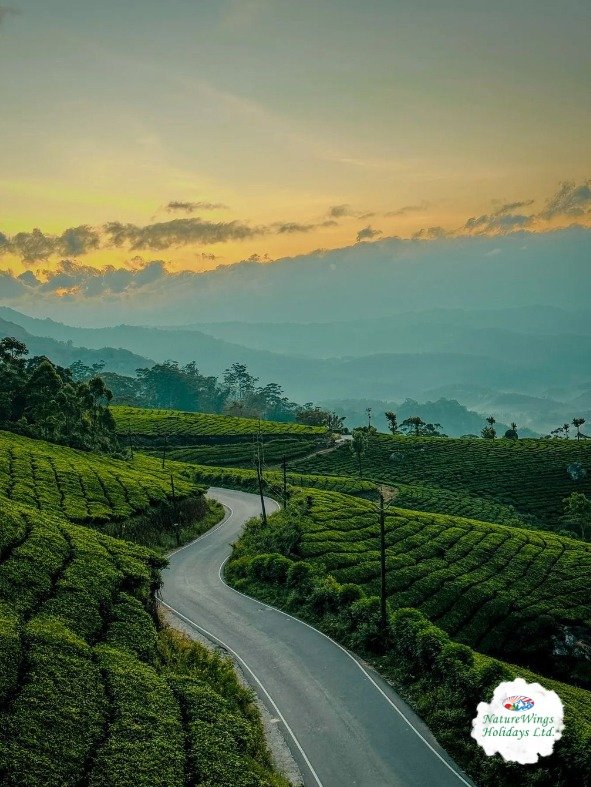 Kerala Package Tour for a Relaxing Getaway