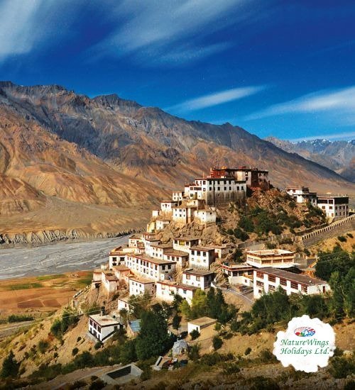 Ladakh Tour Packages – Discover the Magic of the Himalayas
