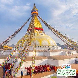 Nepal Tour Packages from India for Families and Couples